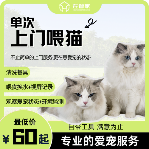 上门喂猫伴宠喂食换水视频记录