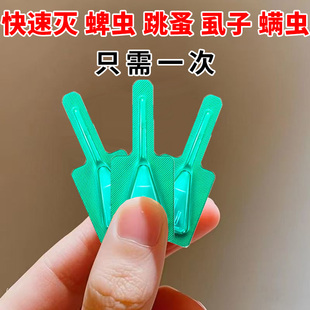 跳虱体外宠物驱虫 德国研发蜱虫专用药狗狗猫咪身上去蜱虫除蚤