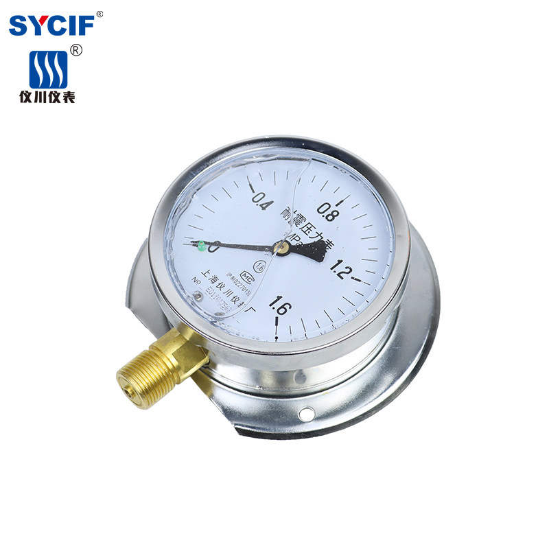 上海仪川船用耐震防震压力表凸装式 YN-100T 气压液压 径向带后边
