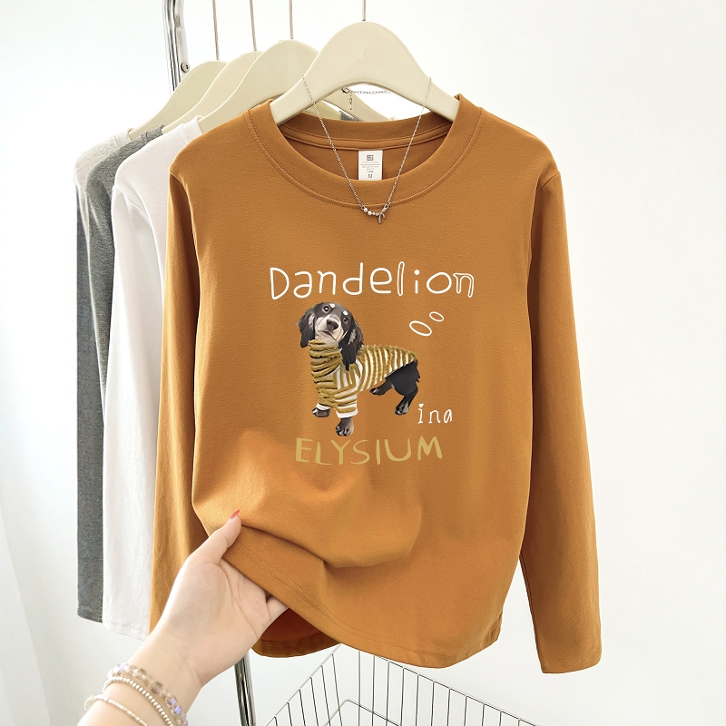 可爱印花秋冬2025新款正肩圆领长袖T恤女学院风设计感百搭上衣ins