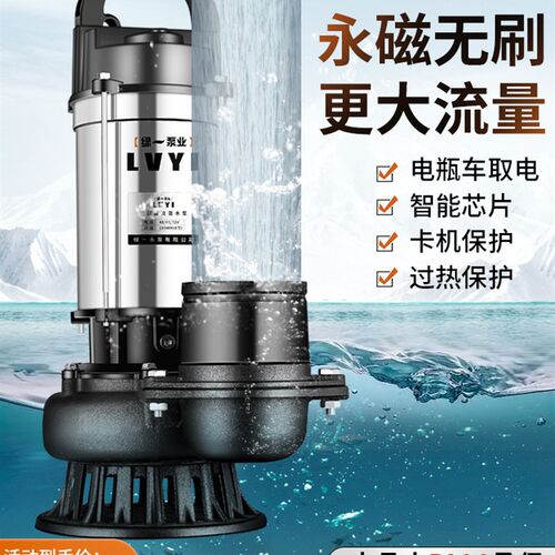 无刷直流潜水泵高扬程48V60V72V家用电动电动车抽水泵农用抽水机