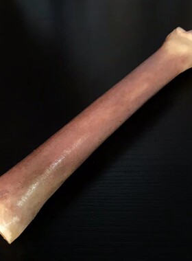 收藏文玩天然骆驼骨腿骨棒骨满血蝌蚪纹玉化血料摆件手把件泡酒料