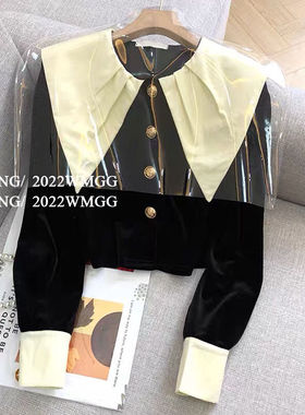 冠幂丝绒衬衫女设计感小众法式高级感大翻领时尚洋气短款长袖上衣