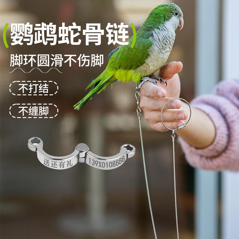虎皮鹦鹉放飞绳脚链不锈钢不伤脚牵引绳和尚玄凤专用外出遛鸟神器