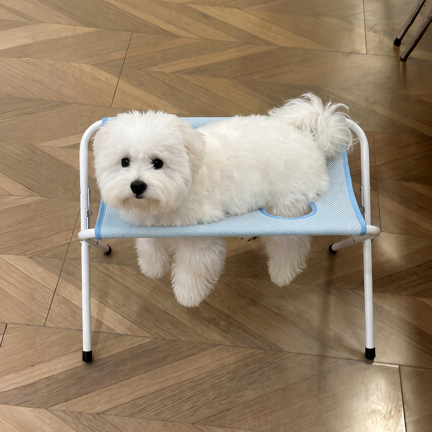狗狗洗澡架猫咪剪指甲固定神器防抓防咬宠物美容吊床可折叠躺椅