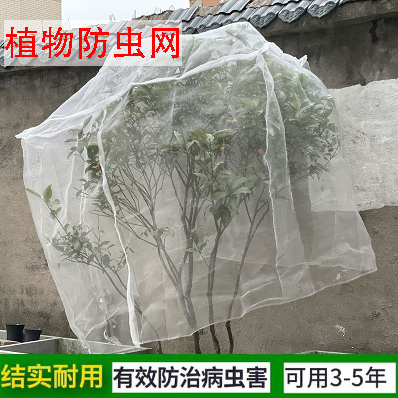 防虫网防鸟网农用大棚罩子多肉罩蓝莓杨梅桃子樱桃罗幔园艺用品