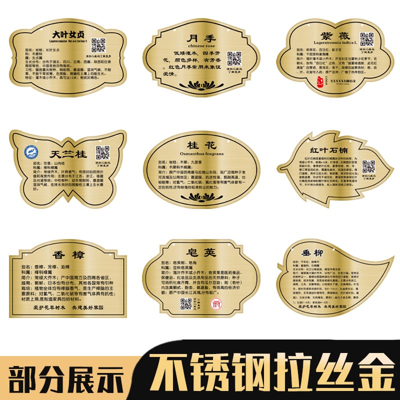不锈钢植物挂牌定制植树节树木花草名称树牌认养学校公园校园植物