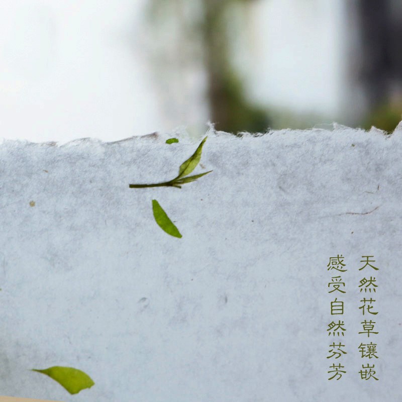 花草云龙宣纸书法专用纯手工半生熟宣纸国画专用四尺毛笔字作品纸