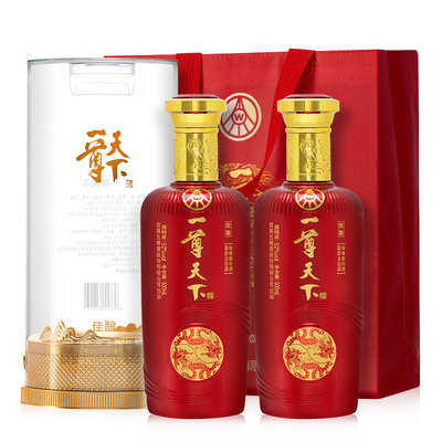 五粮液 一尊天下佳酿（新包装）52度高度白酒 送礼 500ml*2瓶装