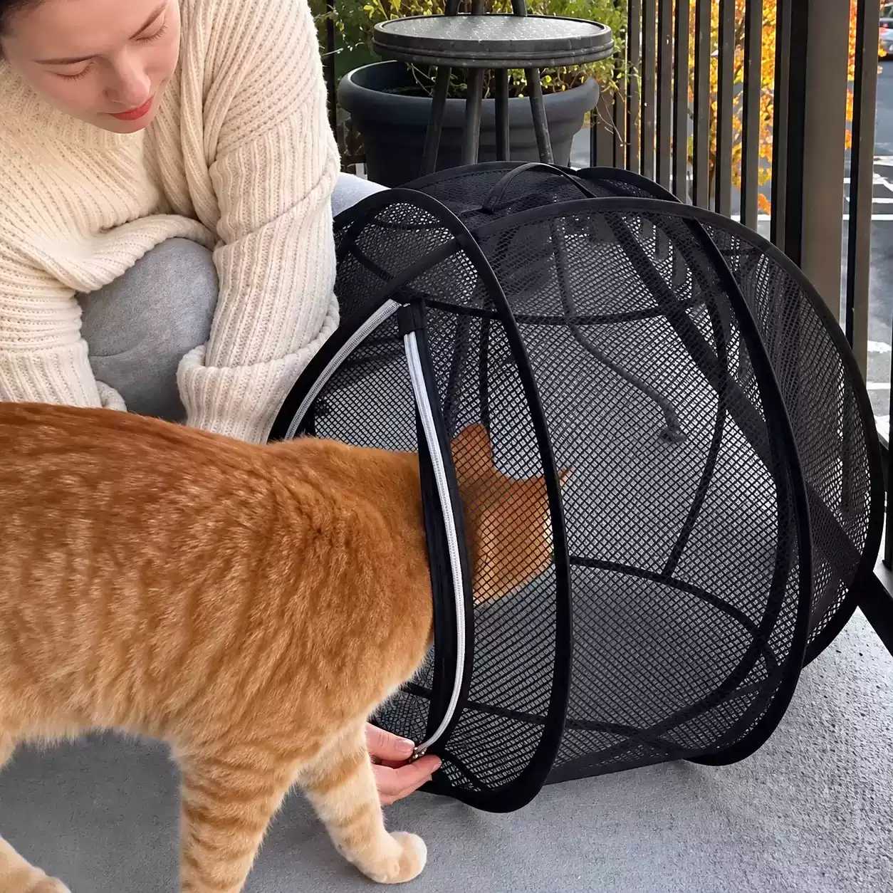 遛猫神器滚筒式自动遛猫球便携猫