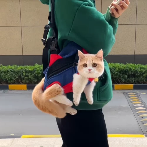 猫包便携外出轻便款双肩背包猫咪