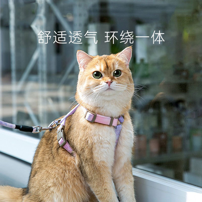 宠物外出可调节夏天专用猫咪牵引绳背心式防挣脱背带舒适遛猫绳子