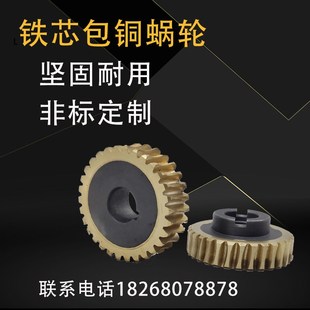 减速机蜗轮 铸铁铁芯包铜蜗轮3模4模5模 定做蜗杆机床配件铜涡轮