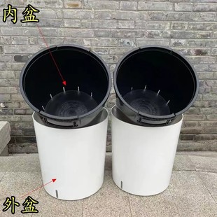 储水懒人花盆简约圆形水培无孔植物室内绿萝自动吸水家用
