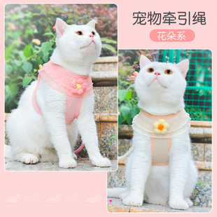 猫咪牵引绳防挣脱外出专用溜猫绳宠物胸抱婴袋猫绳子可调节遛狗绳