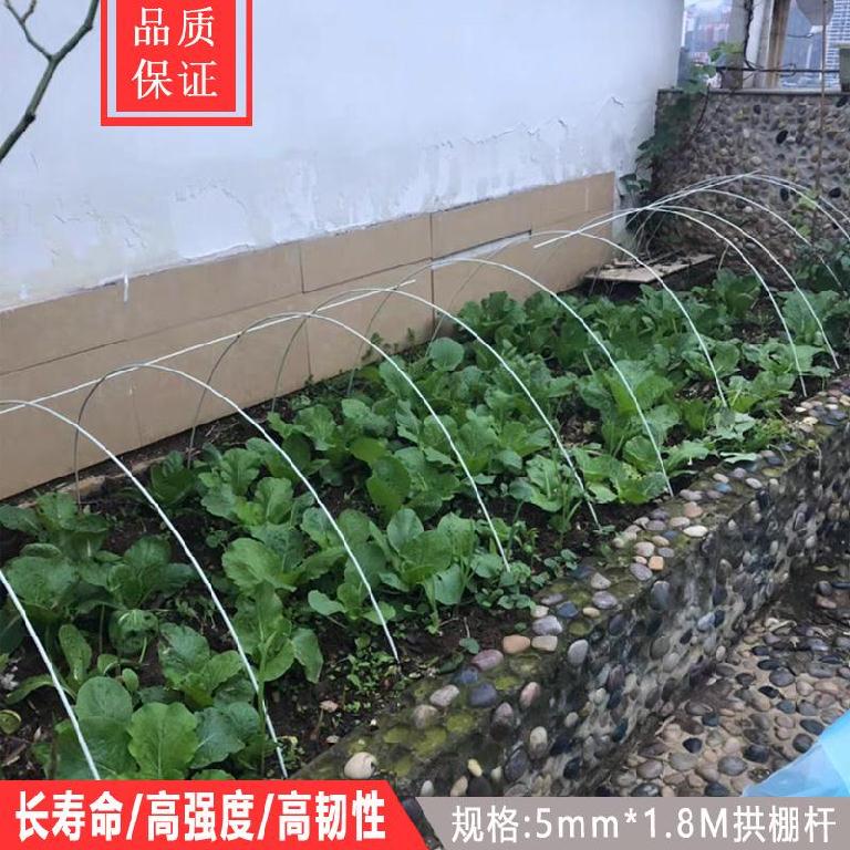 农用业家用苗圃塑料架子菜棚骨架菜棚支架杆菜棚架搭弹力棒花棚架