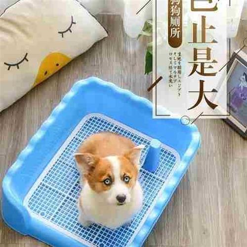 狗狗尿尿定位排便泰迪教上厕所训练专用室内坐便器大小便
