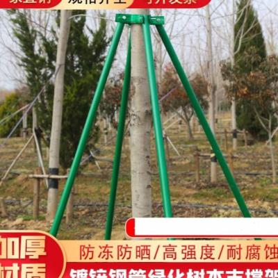 扎带树杆工程园林塑料三脚架树木支撑F架套杯固定器架杆防风支架