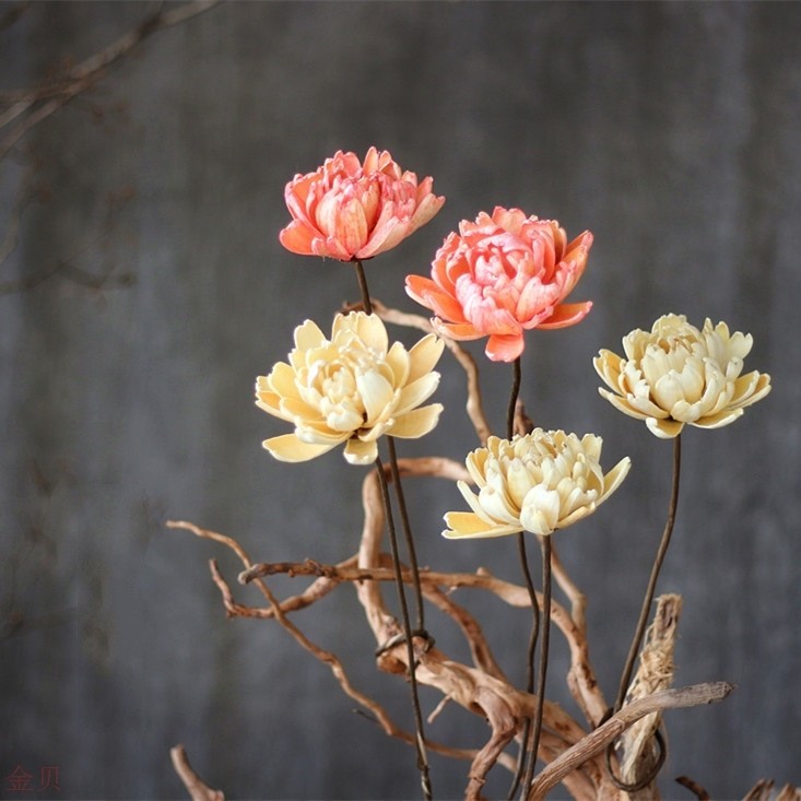 鹿韭植物制作家居装饰艺术干花家饰插花拍摄道具花【店主推荐】