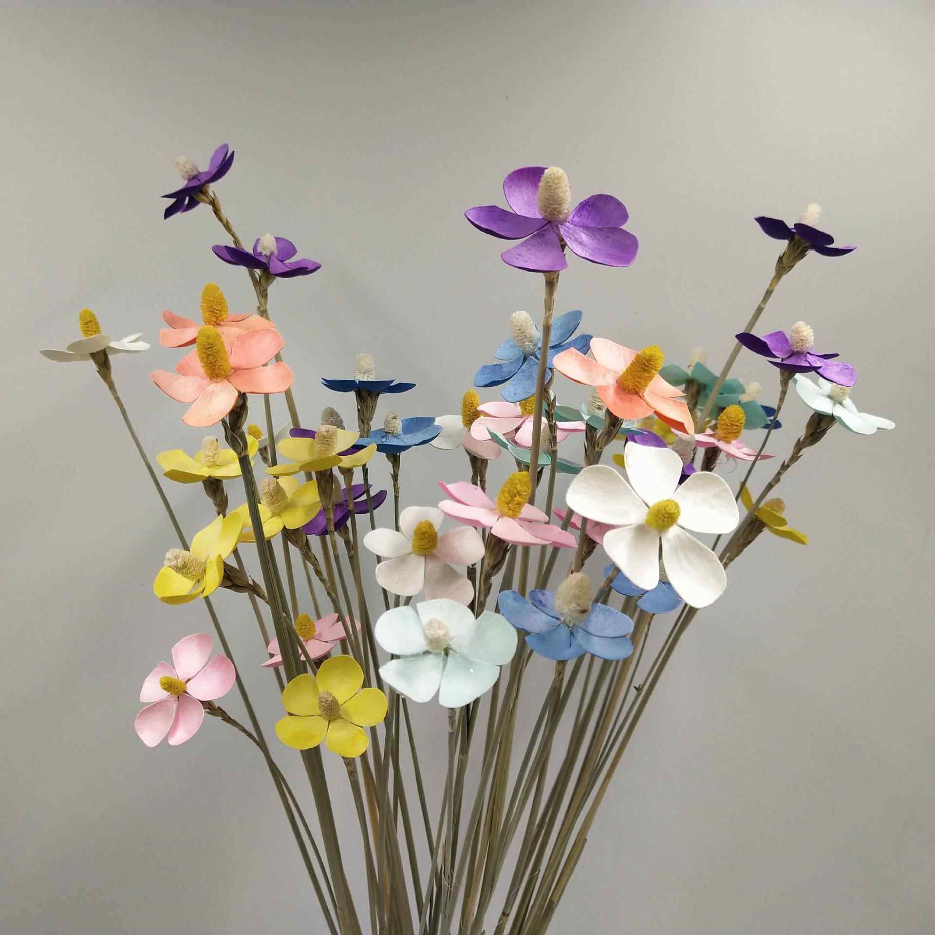 天然风干蝶豆紫干花花束真花插客厅摆设装饰摆件室内