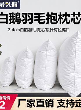 鸭绒羽毛靠枕抱枕芯枕头白鹅绒全棉防羽靠背芯办公室腰靠沙发靠垫