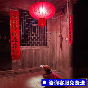 灯笼乔迁之喜新居搬家入宅2023新年大红灯笼灯阳台户外大门口挂饰