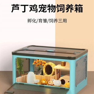芦丁鸡饲养箱全套造景用品别墅宠物育雏保温灯专用笼子全景前开门
