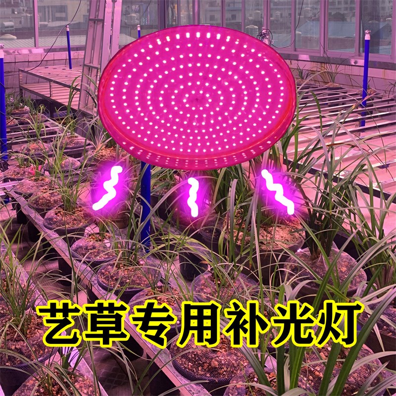 50W艺草专用补光灯 全光谱LED 兰草补光灯【店主推荐】