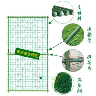 遮阳 阳台种菜 夏季 绿色窗帘 包塑花支柱 瓜果 爬藤植物支架