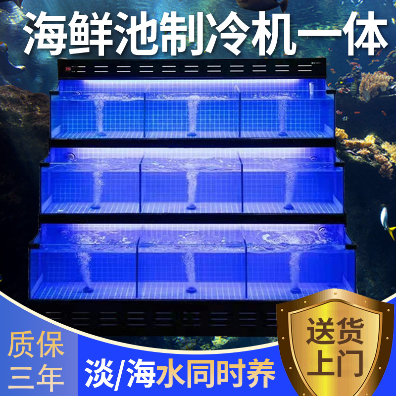 饭店海鲜鱼缸商用超市专用玻璃鱼池一体海鲜缸贝类移动海鲜池订做
