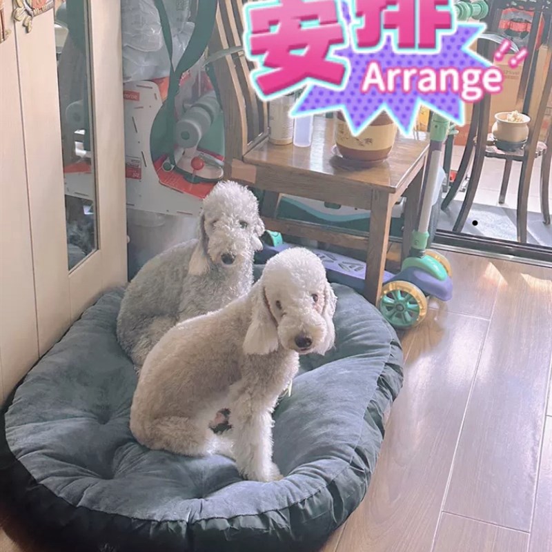 四季款垫子猫狗垫子笼子垫隔垫狗窝内垫子【店主推荐】
