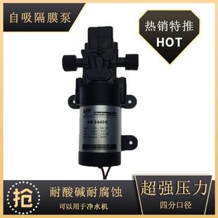 家用小水泵自吸抽水泵加压隔膜泵24V自来水增压泵高压大流量喷雾