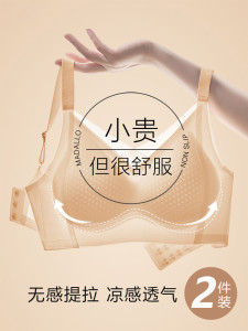 黛安芬无痕内衣女夏季薄冰丝凉感透气聚拢防下垂文胸2024新款爆款