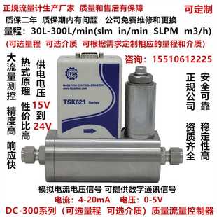 气体质量控制器 DC300系列气体质量流量控制器MFC 气体流量计MFM