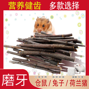 仓鼠磨牙石磨牙棒苹果树枝用品兔子龙猫荷兰猪金丝熊磨牙造景零食