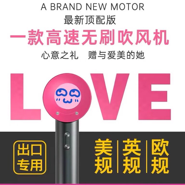 台湾美规110V香港英规220V华强北电吹风机家用负离子护发速干风筒