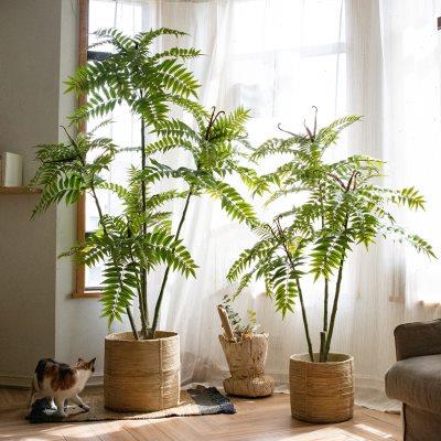 仿真香椿树仿生绿植室内盆栽软装饰大型盆景落地客厅假树摆件造景