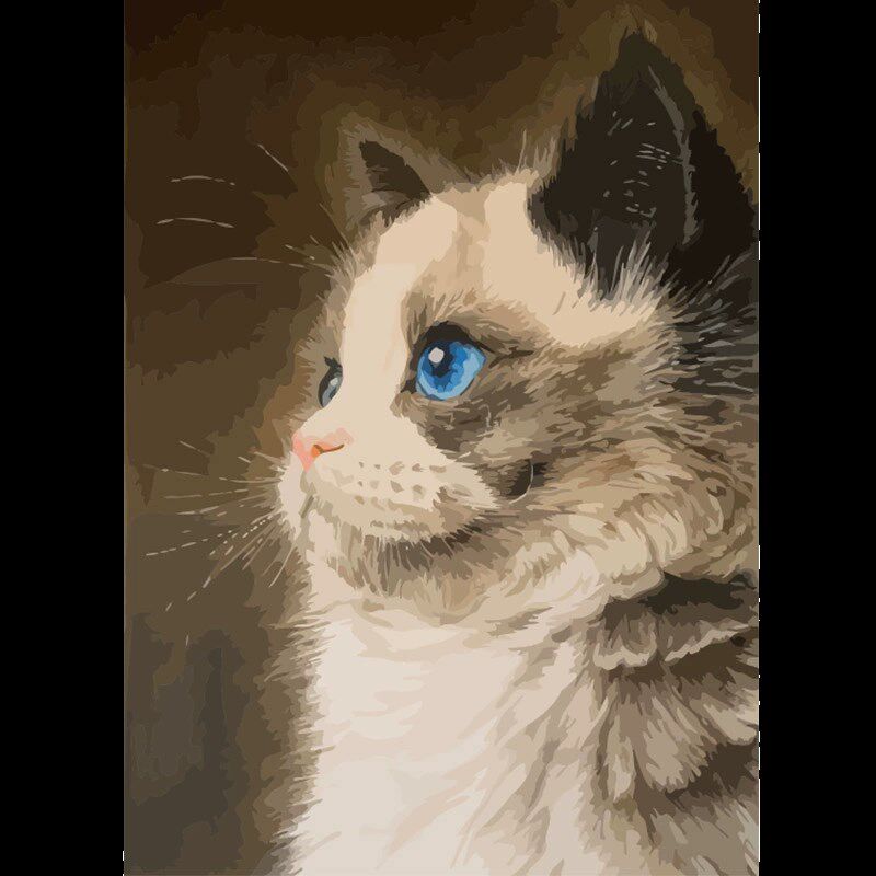 宠物数字油画 画diy小狗小猫咪小动物定制照片填色装饰画 画2025