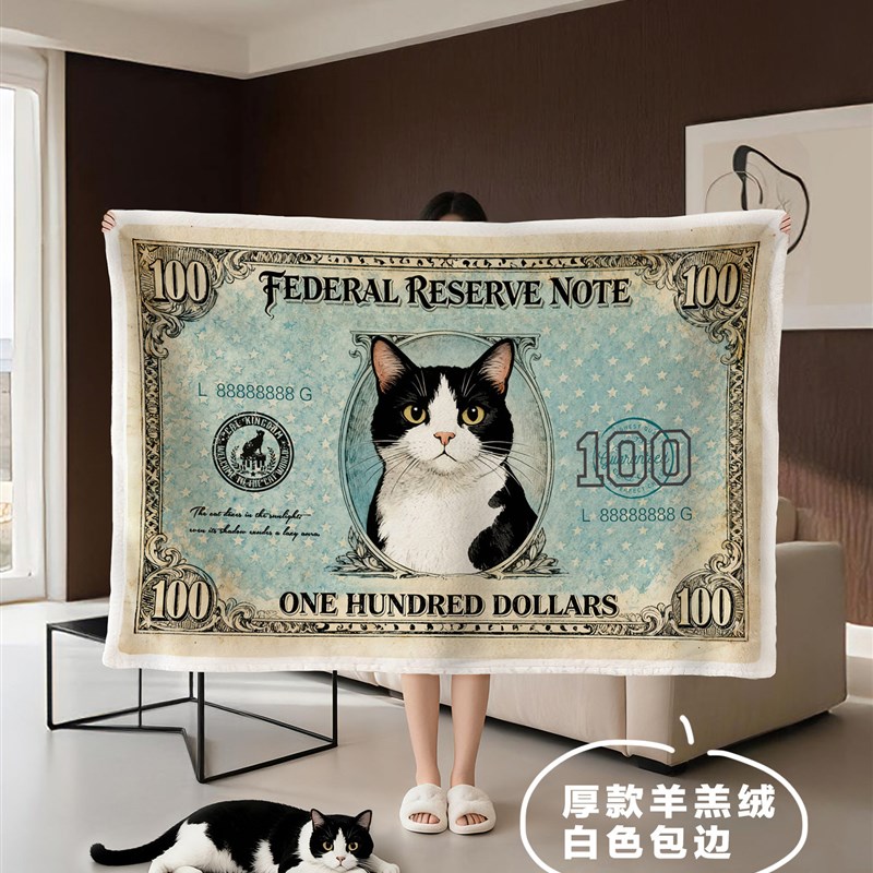 毛毯加厚冬办公室午睡披肩毛毯沙发盖毯猫咪美元创意礼物空调小毯