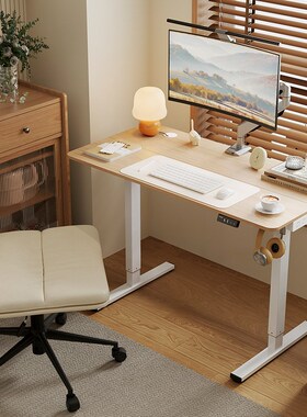 精选乐歌E1S/E1-N智能电动升降桌办公电脑桌学习桌小户型家用写字