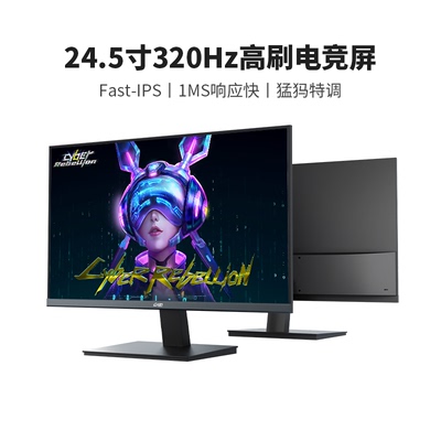 川升24英寸320Hz高刷电竞显示器
