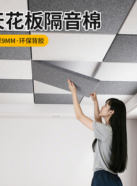 99%高降噪超强消音隔音板吸音棉