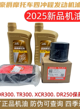 适用豪爵原装厂DR250 TR300 XCR机滤空滤发动机油格空气滤芯保养