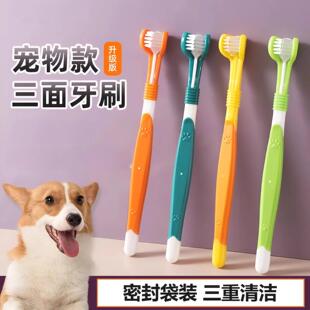 三刷头宠物牙刷猫咪狗狗牙刷头犬猫牙齿口腔软毛牙刷护理清洁用品