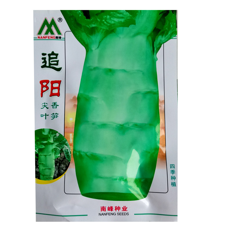 追阳莴笋种子肉香莴苣种子高产耐热耐寒春夏秋专用蔬菜种子基地优