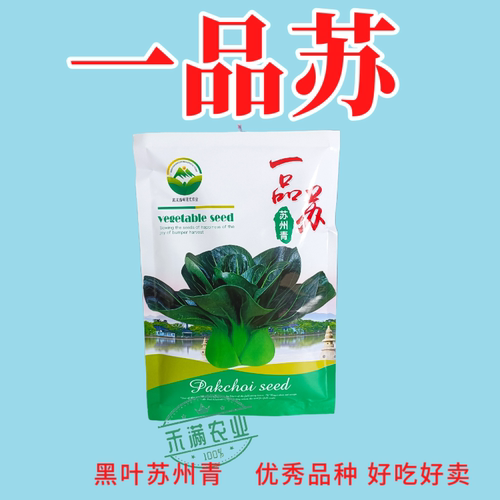 黑叶矮脚苏州青种子苏州青菜籽苏州青菜种籽小油菜籽种孑黑大头种