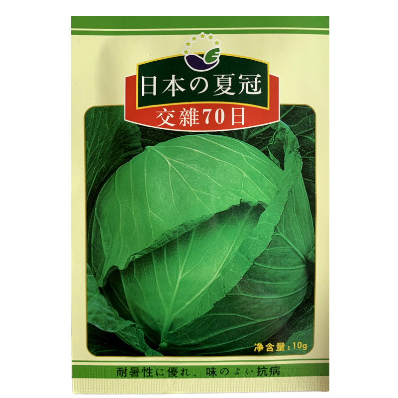 抗高温甘蓝种子 夏播耐热早熟抗高温扁圆型绿球耐裂包菜种子籽孑
