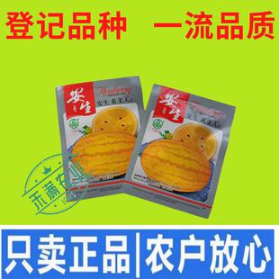 安生黄美人红美人西瓜种子金色丽人椭圆形早熟杂交黄金瓜西瓜种子