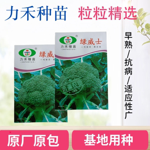 【力禾种苗】绿威士西兰花种子春秋可播绿菜花基地优选西兰花种籽