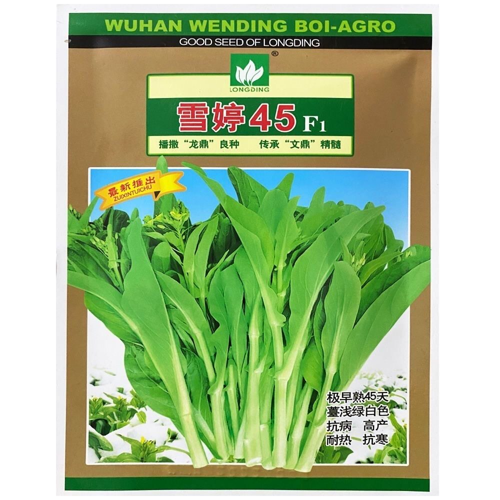 【文鼎菜苔】特惠雪婷45天白菜蔬菜种子/种苗